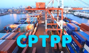 Tăng trưởng xuất khẩu nông sản từ Hiệp định CPTPP