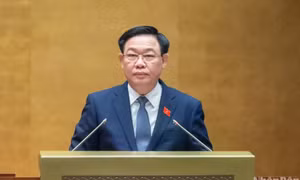 Triển khai kế hoạch cụ thể để nhanh chóng đưa Luật Đất đai (sửa đổi) vào cuộc sống