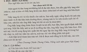 Hai giáo viên bị kiểm điểm vì ra đề Văn 'nhạy cảm'