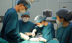 Bi hài thẩm mỹ phong thủy để đổi vận