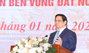Vững bước, tự tin, tạo bước phát triển ngành văn hóa, thể thao và du lịch nhanh, bền vững
