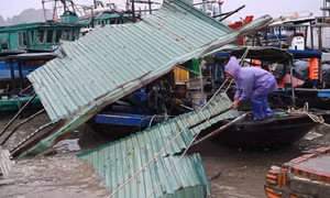 Những bệnh có thể bùng phát sau mưa lũ