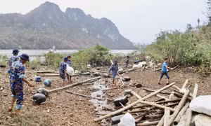 Lữ đoàn 169 tham gia tổng dọn vệ sinh môi trường biển