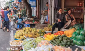 Bộ Tài chính: Không để khan hiếm, đầu cơ tăng giá hàng hóa sau bão số 3