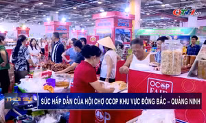 Sức hấp dẫn của Hội chợ OCOP khu vực Đông Bắc – Quảng Ninh