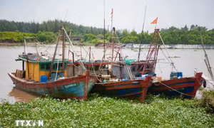 Thủ tướng: Chủ động ứng phó với áp thấp nhiệt đới có khả năng mạnh lên thành bão