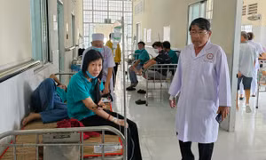 Hàng trăm công nhân bị ngộ độc do thức ăn nhiễm khuẩn