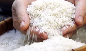 Xuất cấp gạo để hỗ trợ địa phương bị ảnh hưởng của bão số 3