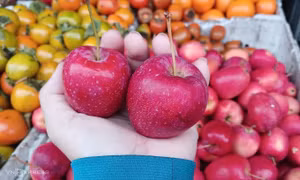 Táo cherry Trung Quốc 'gắn mác' Hàn Quốc, Australia
