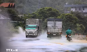 Đông Bắc Bộ, Lào Cai, Yên Bái, Hòa Bình có mưa, cục bộ có nơi trên 80mm