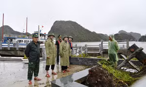 Phó Bí thư Tỉnh ủy Đặng Xuân Phương kiểm tra công tác khắc phục hậu quả bão số 3 trên Vịnh Hạ Long và TP Móng Cái