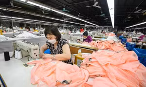 Tổng thu ngân sách nhà nước 8 tháng đầu năm ước đạt hơn 1,14 triệu tỷ đồng, bằng 117,9% so cùng kỳ