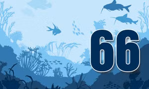66 - là số khu bảo vệ nguồn lợi thủy sản ở thủy vực vùng nội địa trên địa bàn tỉnh Quảng Ninh