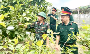 Tạo khí thế mới, động lực mới