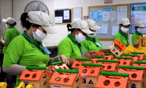 Thị trường lao động tiếp tục chuyển biến tích cực