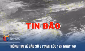 Thông tin về Bão số 3 (Yagi) lúc 12h ngày 7/9