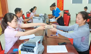 Giải ngân cho 1.620 hộ vay vốn phục hồi kinh tế, phát triển sản xuất