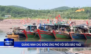 Quảng Ninh chủ động ứng phó với siêu bão Yagi