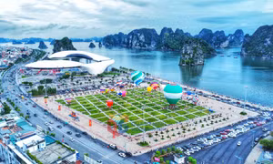 Khinh khí cầu rực rỡ trên bầu trời Hạ Long