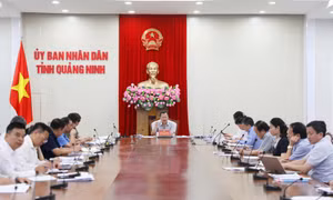 Đẩy nhanh tiến độ thực hiện hỗ trợ cho người dân, doanh nghiệp bị thiệt hại sau bão