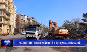 TP Hạ Long đảm bảo phương án xử lý khối lượng rác lớn sau bão