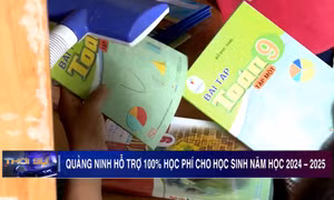 Quảng Ninh hỗ trợ 100% học phí cho học sinh năm học 2024 – 2025