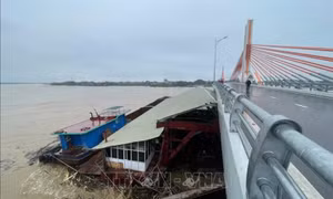 Nước sông Lô dâng cao, hàng loạt sà lan mắc kẹt ở cầu Vĩnh Phú