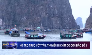Quảng Ninh: Hỗ trợ trục vớt tàu, thuyền bị chìm do cơn bão số 3
