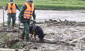 Lũ quét Làng Nủ: Tìm thấy thêm một nữ nạn nhân, còn 9 người mất tích