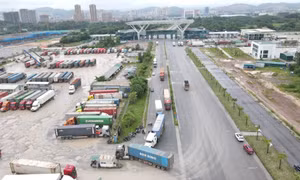 TP Móng Cái: Nâng cao hiệu quả công tác lập, quản lý quy hoạch