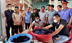 Bắt 2 thanh niên Quảng Bình mang súng 'hộ tống' 26kg ma túy từ Lào về Việt Nam