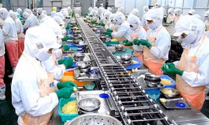 Lộ diện tỉnh duy nhất Việt Nam có vốn FDI vượt mốc 3 tỷ USD