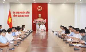 UBND tỉnh làm việc với Vietinbank, bàn giải pháp hỗ trợ khách hàng sau bão