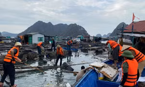 Làm sạch môi trường biển