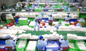 Cấp bách hỗ trợ doanh nghiệp sau bão lũ