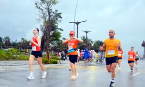"Chúng tôi ấn tượng với sự phục hồi mạnh mẽ của Hạ Long"