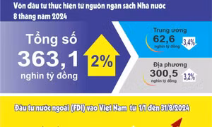 Tình hình sản xuất công nghiệp, đầu tư 8 tháng năm 2024