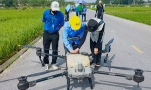 Ứng dụng Drone trong khảo nghiệm thuốc bảo vệ thực vật
