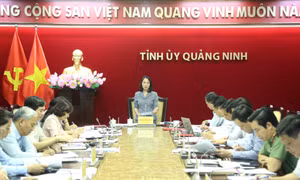 BTV Tỉnh ủy cho ý kiến về Đề cương sơ bộ Báo cáo chính trị Đại hội Đảng bộ tỉnh lần thứ XVI