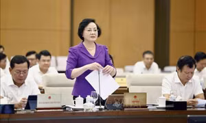Phê bình, kiểm điểm địa phương chưa quyết liệt trong sắp xếp đơn vị hành chính