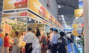 CAEXPO - Cơ hội thúc đẩy hợp tác thương mại giữa Việt Nam với Trung Quốc và ASEAN