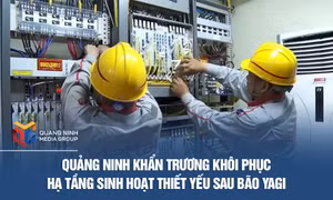 Quảng Ninh khẩn trương khôi phục hạ tầng sinh hoạt thiết yếu sau bão Yagi