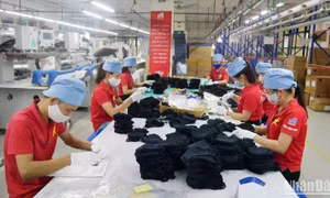 Doanh nghiệp dệt may tìm giải pháp tăng năng suất lao động