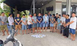 Phá tụ điểm đá gà qua mạng phát trực tiếp từ nước ngoài