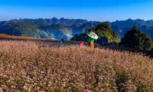 4 điểm đến ngắm thu ở Việt Nam
