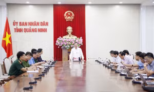 Công bố tình huống khẩn cấp về thiên tai đối với hiện tượng sạt trượt đất đá tại Quang Hanh (Cẩm Phả)