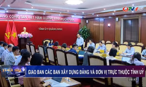 Thường trực Tỉnh ủy giao ban với các ban Xây dựng Đảng và các đơn vị trực thuộc