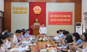 Đoàn công tác UBND tỉnh làm việc với huyện Bình Liêu