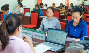 Tạo động lực để người dân phục hồi sản xuất