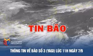 Thông tin về Bão số 3 (Yagi) lúc 11h ngày 7/9